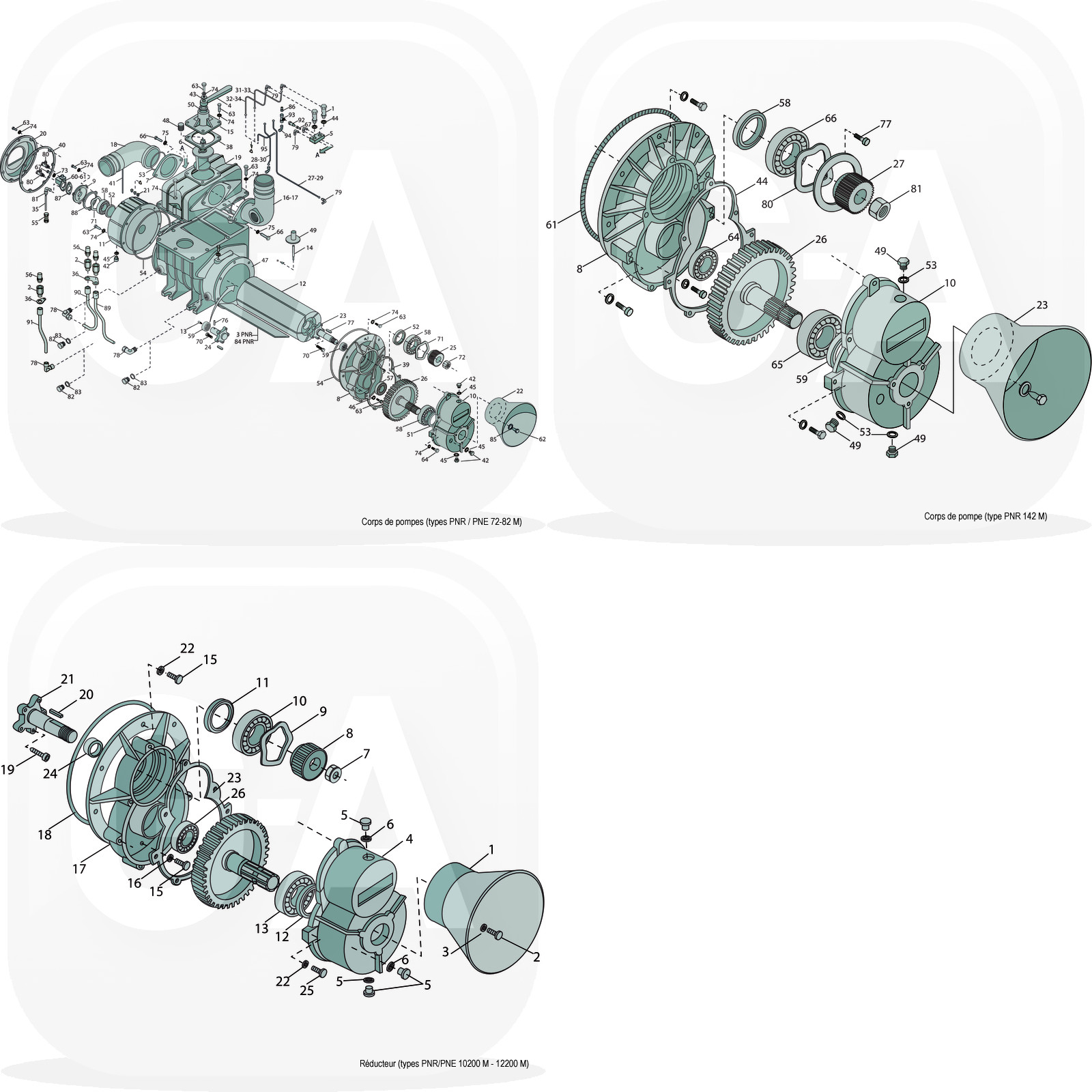 SitePH2-Montage Corps 72-Corps 142-Red 10200.jpg